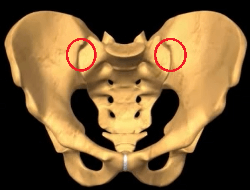 SI Joints circled